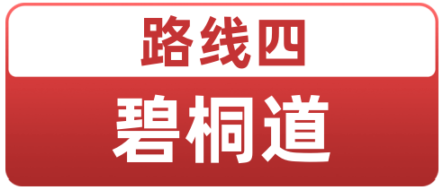 0334e7a0a3aa973622bef23e930d9b01.png
