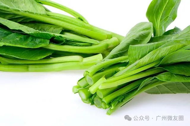a65b35d136d2085df69d7c397fa45a40.jpeg